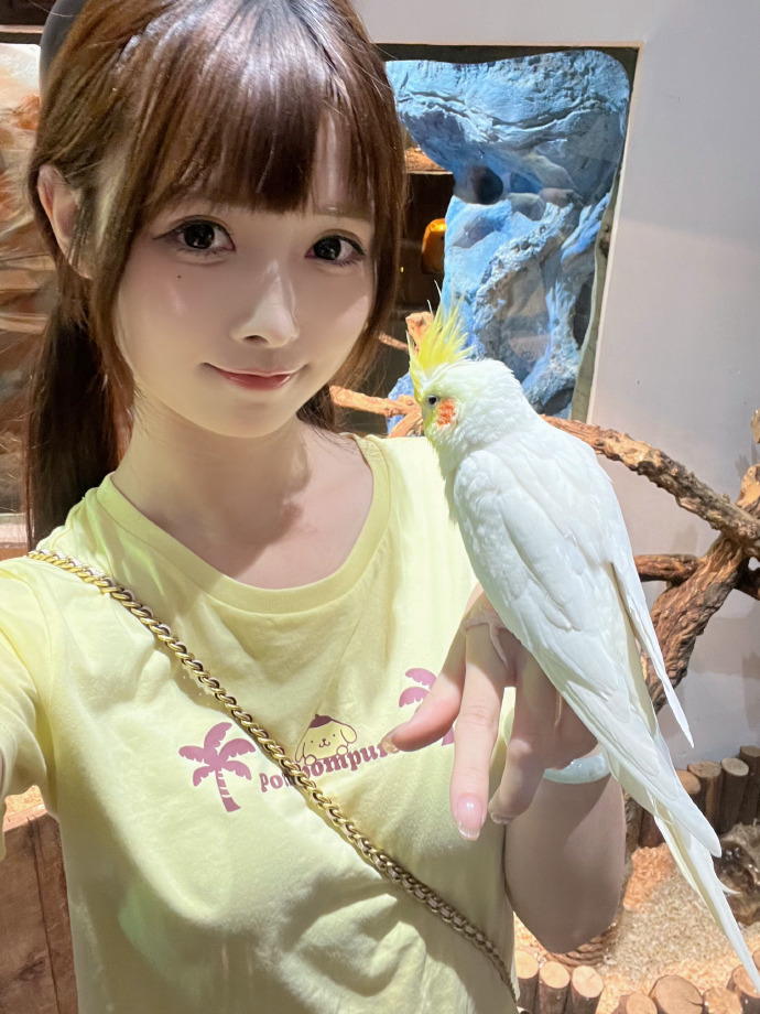 霸王别姬